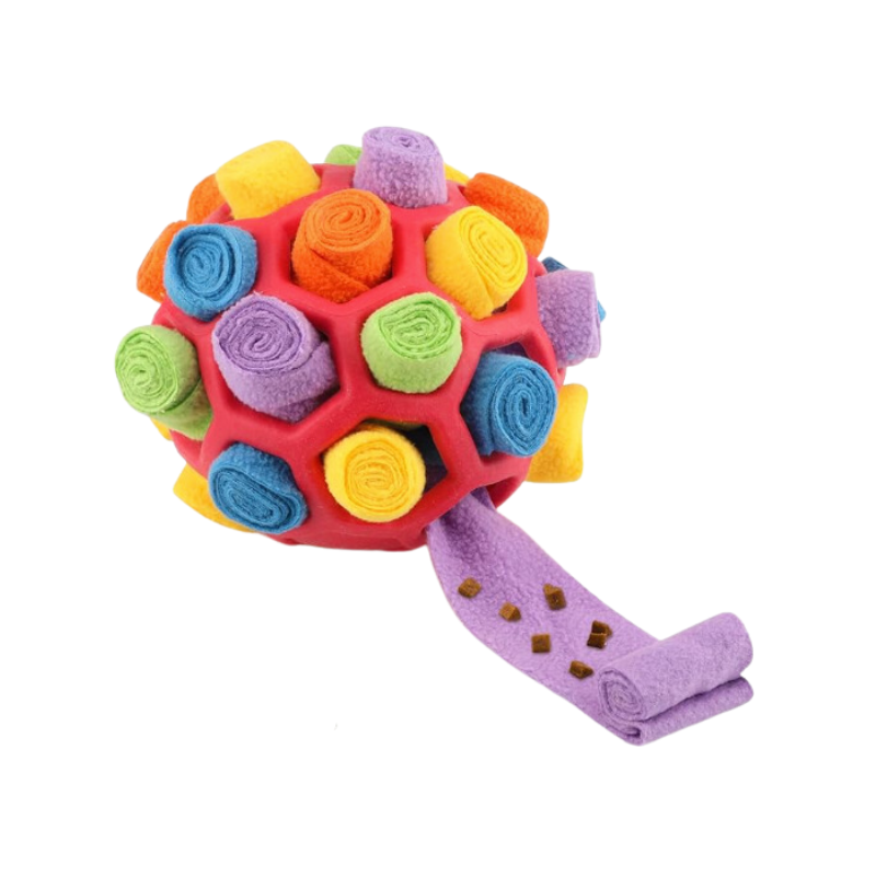 SchnüffelBall