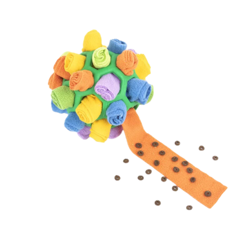 SchnüffelBall