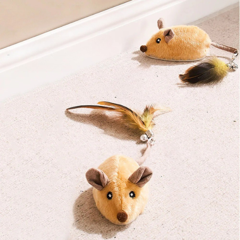 KatzenFlitzer