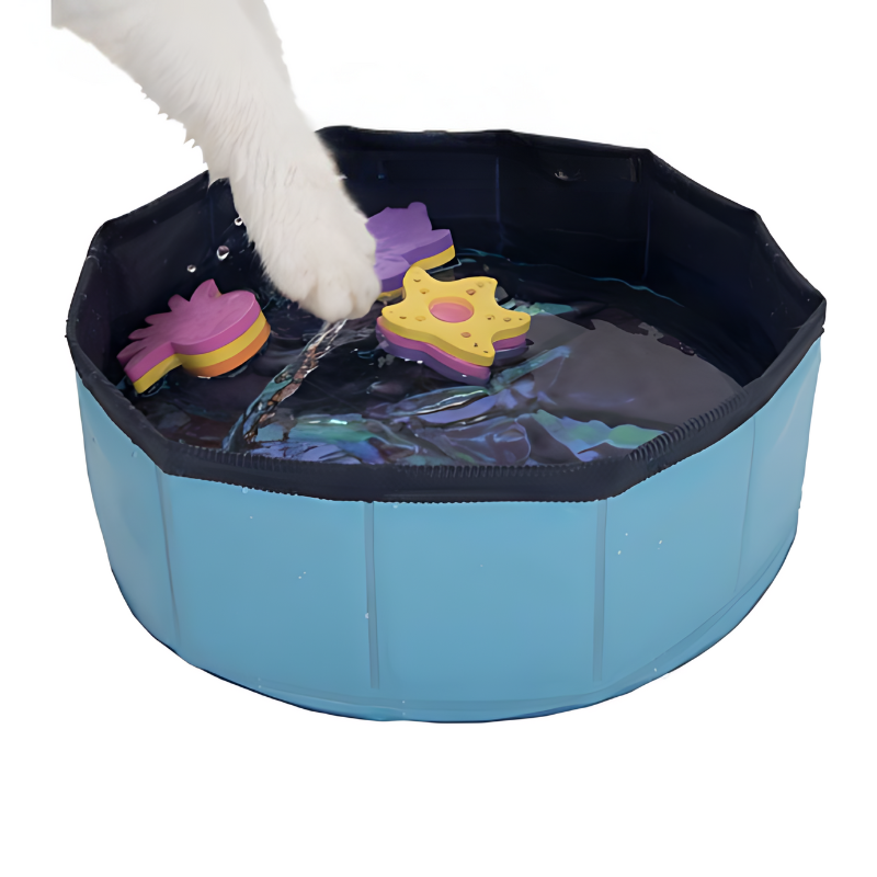 PfotenSplash