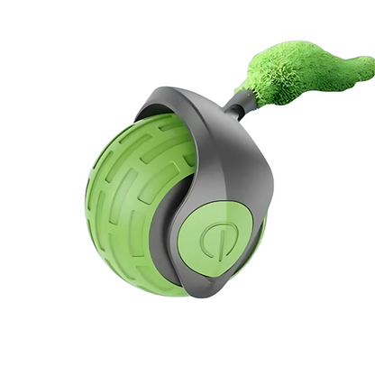 MiauBall