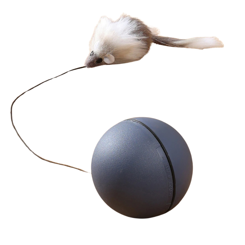 SchnurrBall
