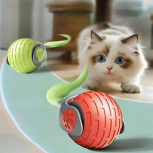 MiauBall
