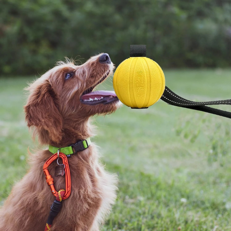 ZerrBall