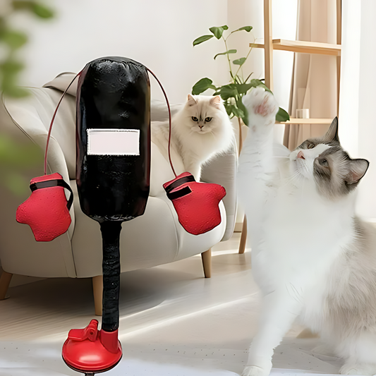BoxPfote