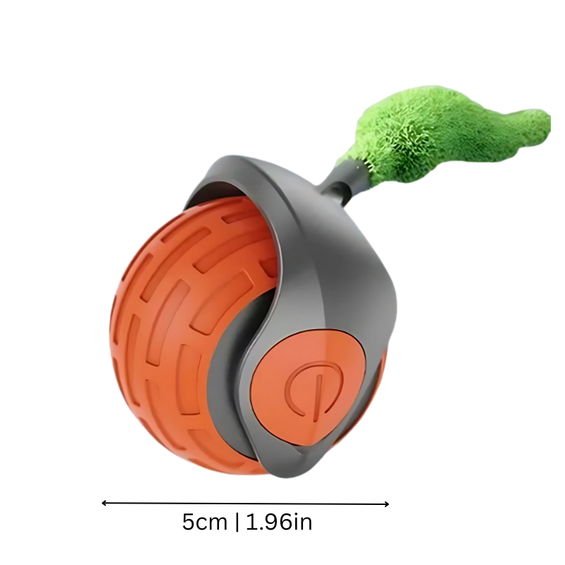 MiauBall
