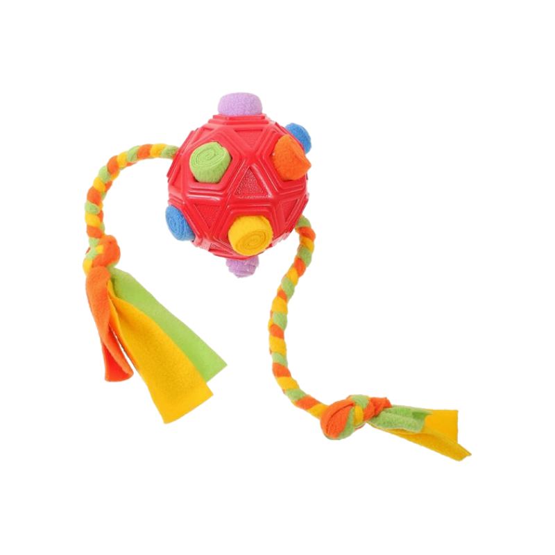SchnüffelBall