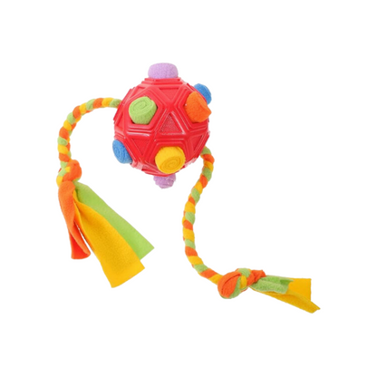 SchnüffelBall