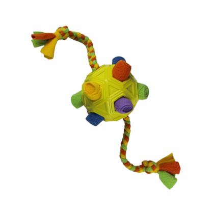 SchnüffelBall